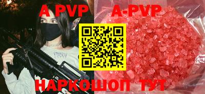 тгк Новозыбков