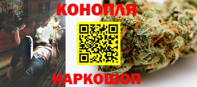 тгк Новозыбков
