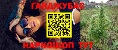 гашик Нальчик