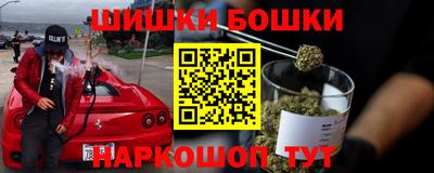 тгк Новозыбков