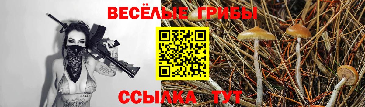 Псилоцибиновые грибы ЛСД  наркошоп  Серпухов  Псилоцибиновые грибы Cubensis  Вход с VPN 